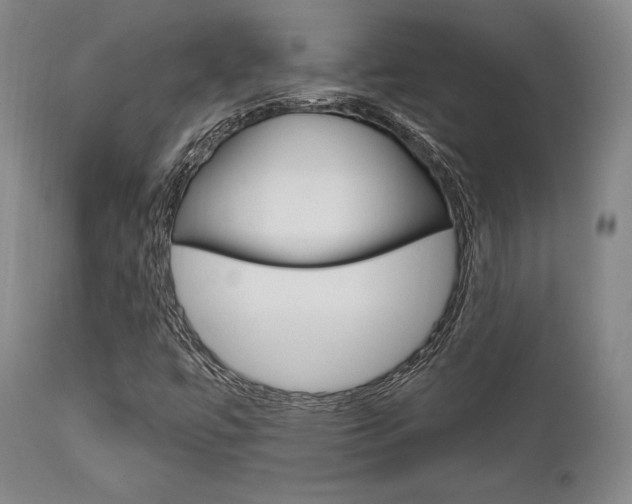X0000111621447200907171052