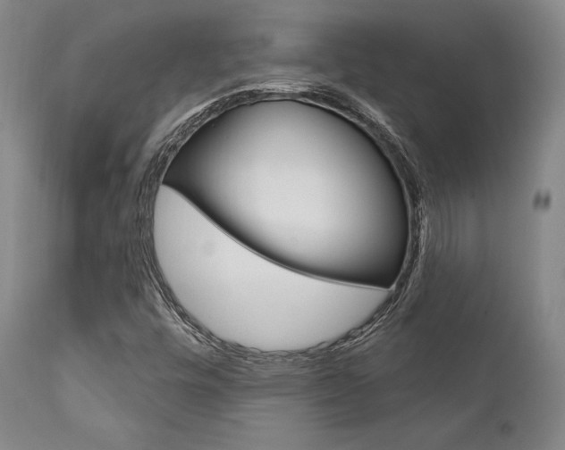 X0000111621448200907171052