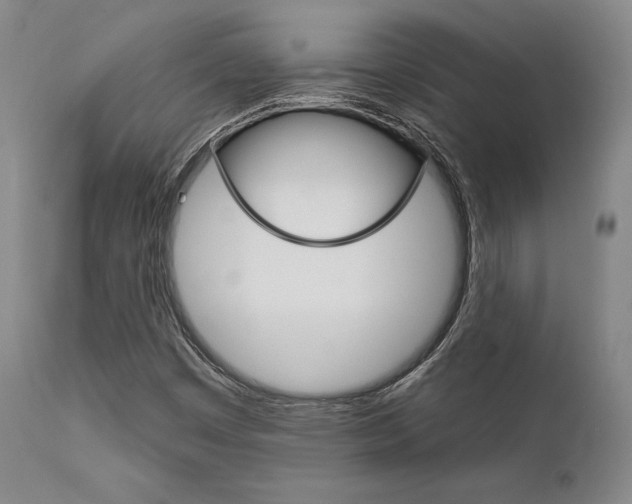 X0000111621449200907171052