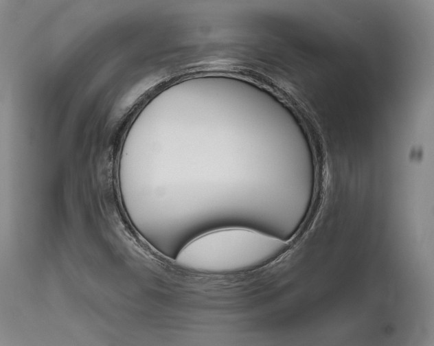 X0000111621450200907171052