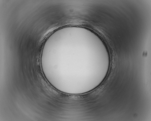 X0000111621451200907171052