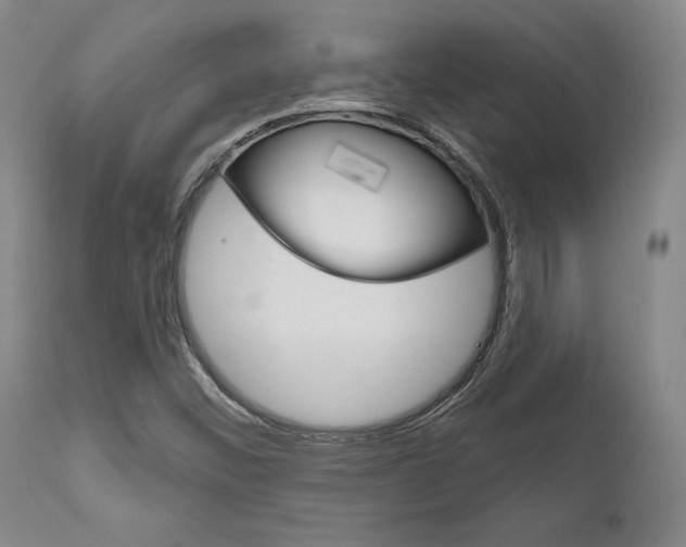 X0000111621452200907171052