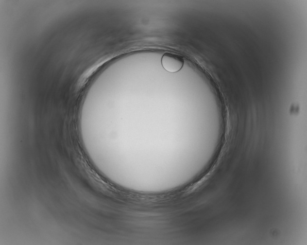 X0000111621453200907171052