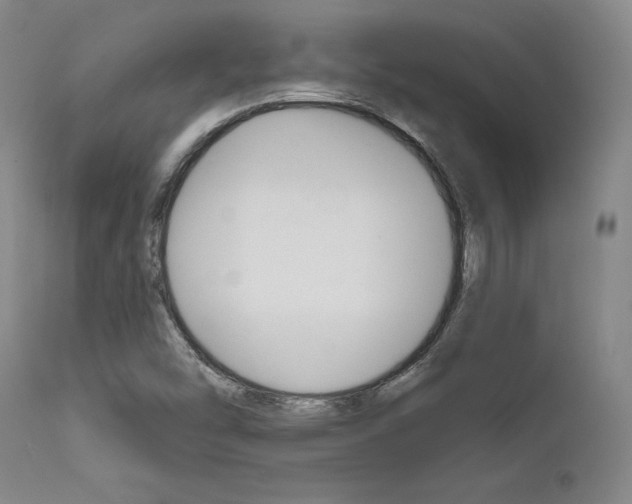 X0000111621454200907171052