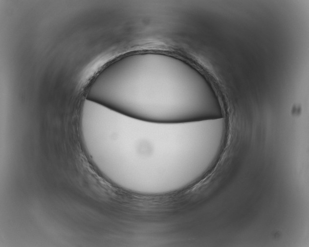 X0000111621455200907171052