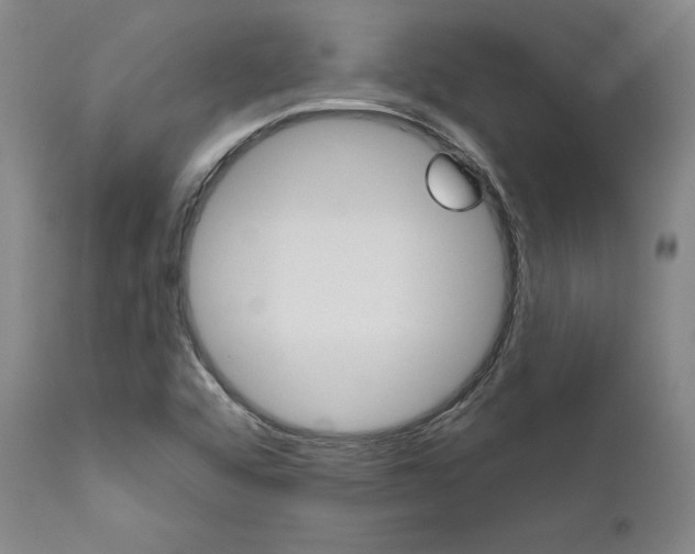X0000111621456200907171052