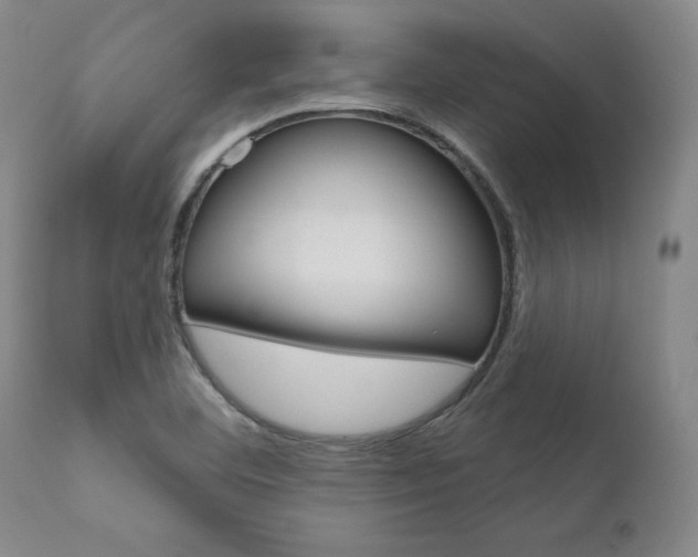 X0000111621460200907171052