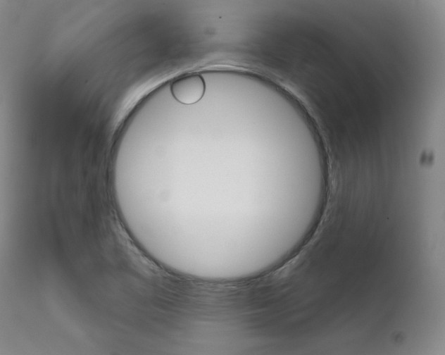 X0000111621461200907171052