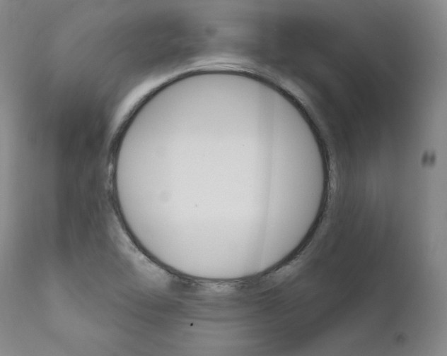 X0000111621462200907171052