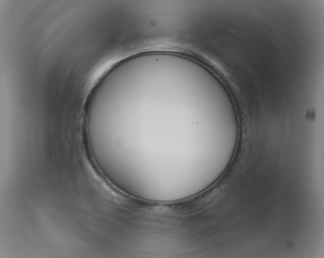 X0000111621463200907171052