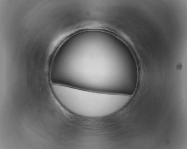 X0000111621464200907171052