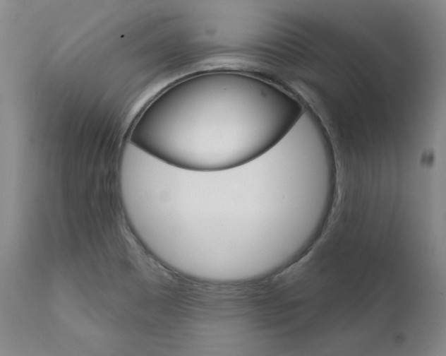 X0000111621465200907171052