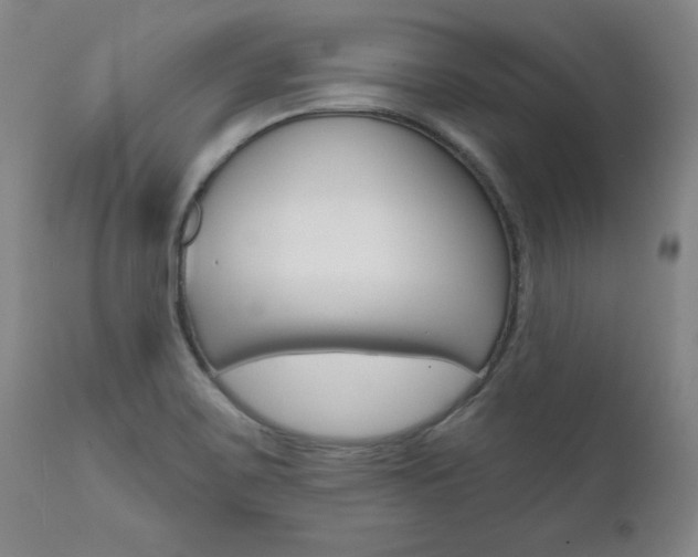X0000111621467200907171052