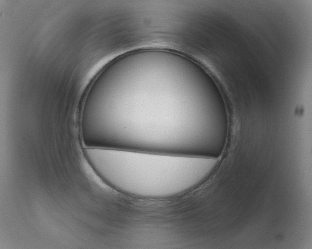 X0000111621468200907171052