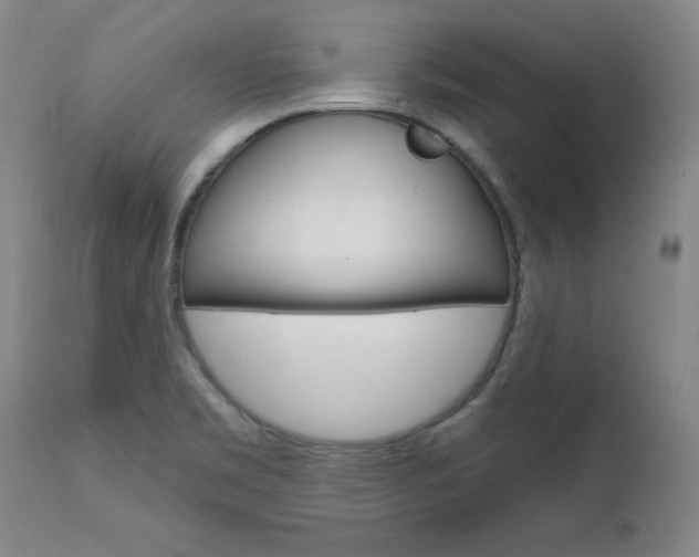 X0000111621469200907171052