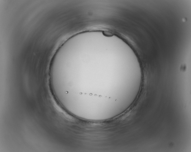 X0000111621471200907171052