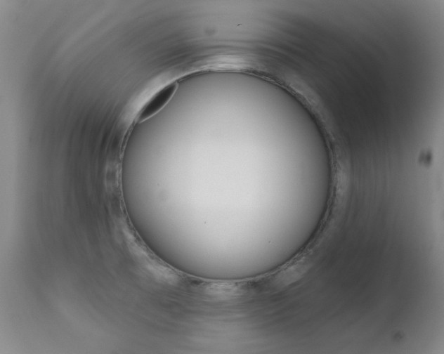 X0000111621473200907171052