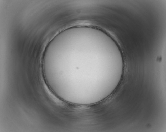 X0000111621475200907171052