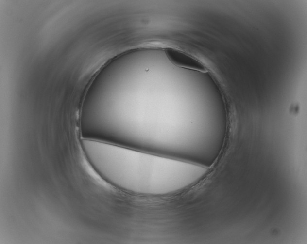 X0000111621476200907171052