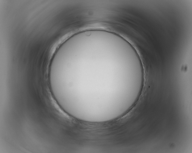 X0000111621477200907171052