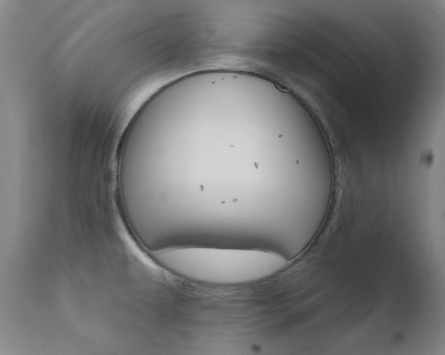 X0000111621479200907171052