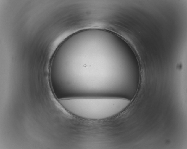 X0000111621480200907171052
