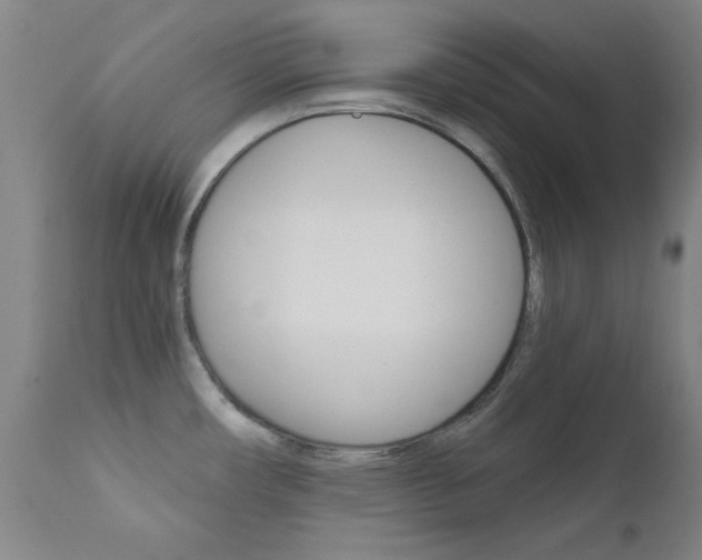 X0000111621482200907171052