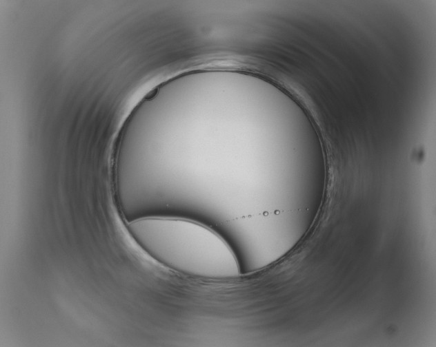 X0000111621483200907171052