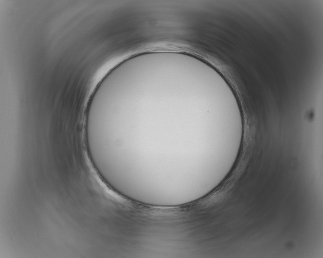 X0000111621486200907171052