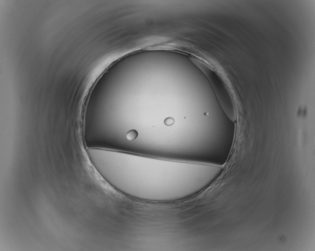X0000111621488200907171052
