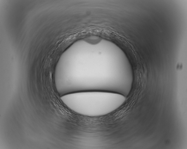 X0000111621489200907171051
