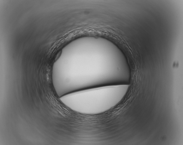 X0000111621490200907171051