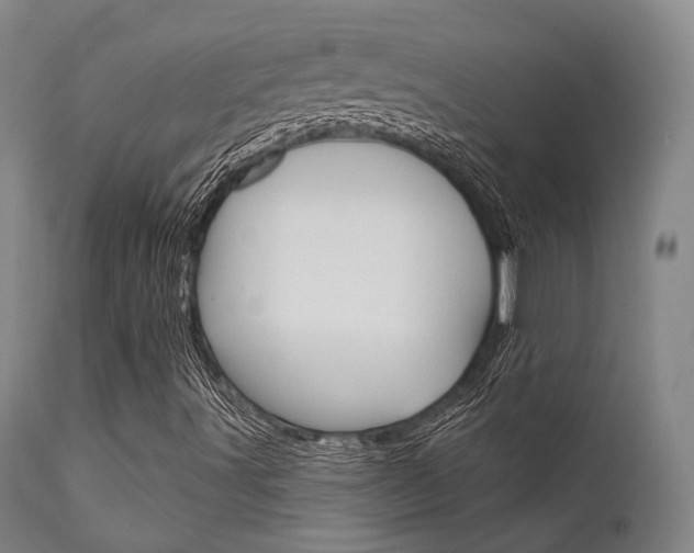 X0000111621491200907171051