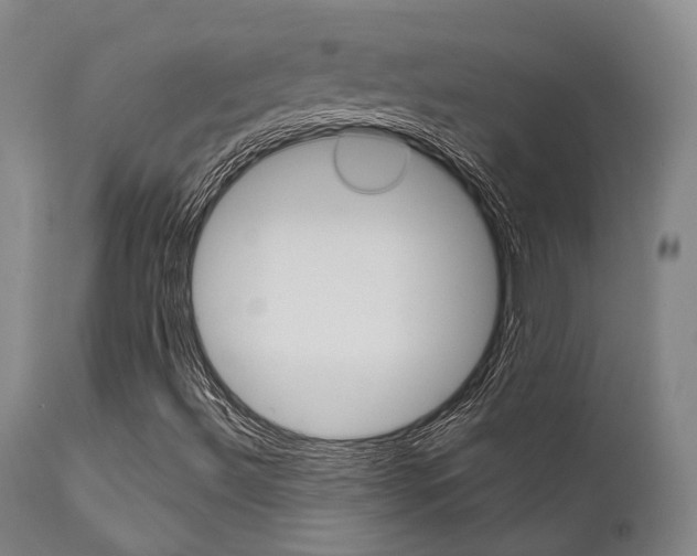 X0000111621492200907171051