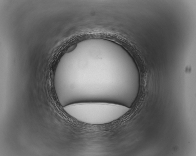 X0000111621493200907171051