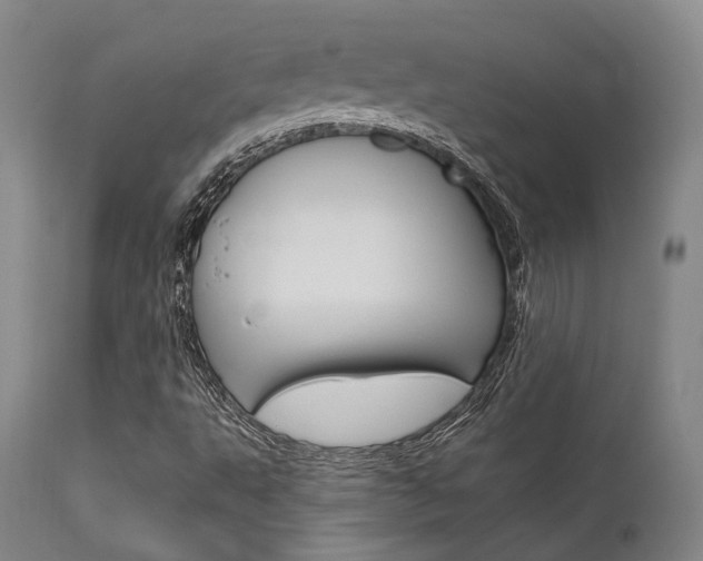 X0000111621495200907171051