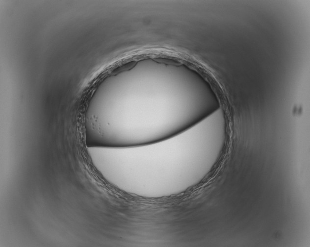X0000111621496200907171051