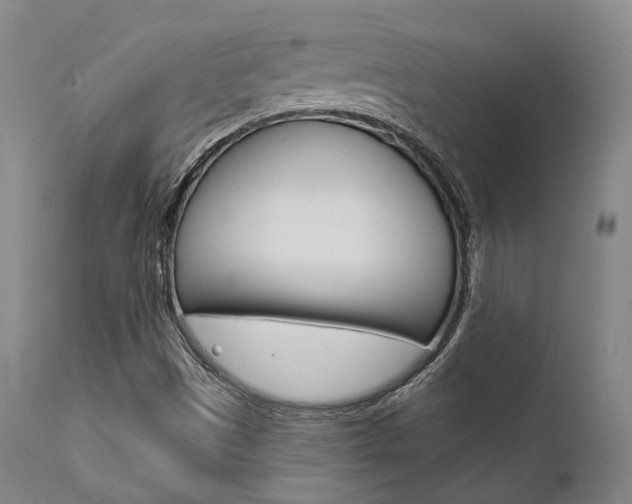 X0000111621497200907171051