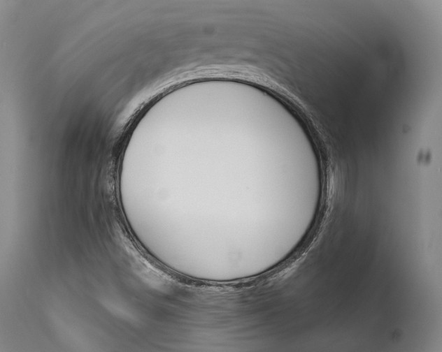 X0000111621498200907171051
