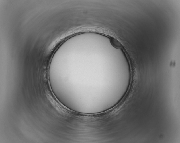 X0000111621499200907171051
