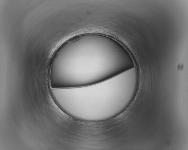 X0000111621500200907171051
