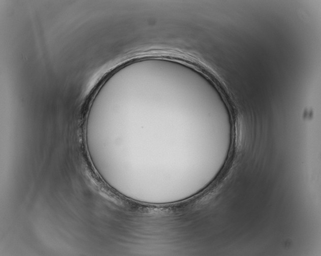 X0000111621501200907171051