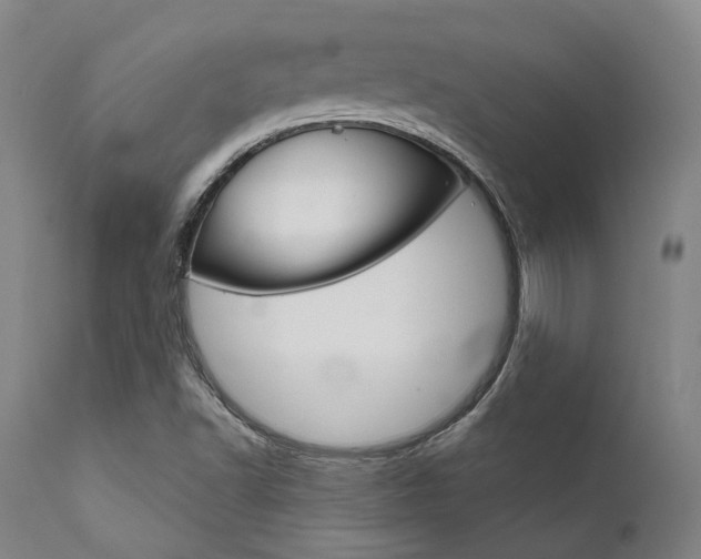 X0000111621502200907171051