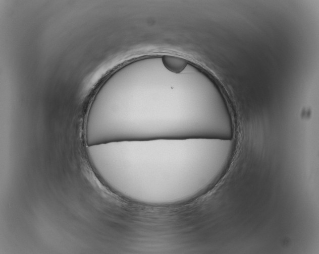 X0000111621503200907171051