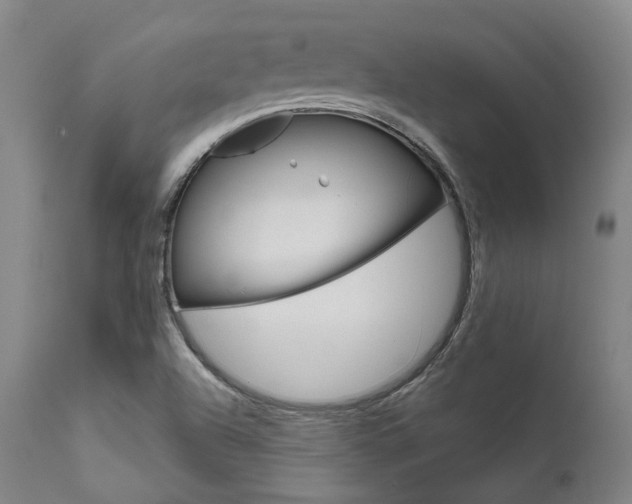 X0000111621504200907171051