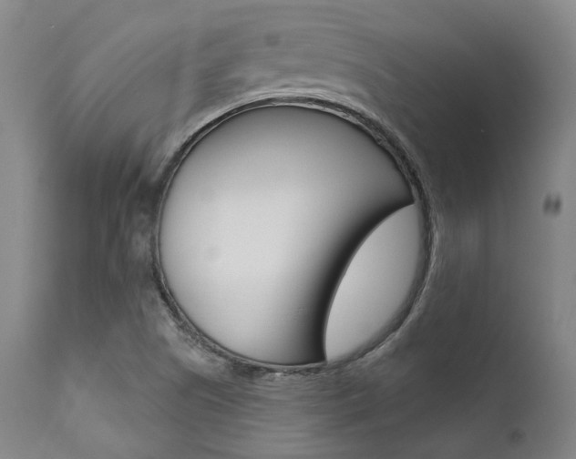 X0000111621505200907171051