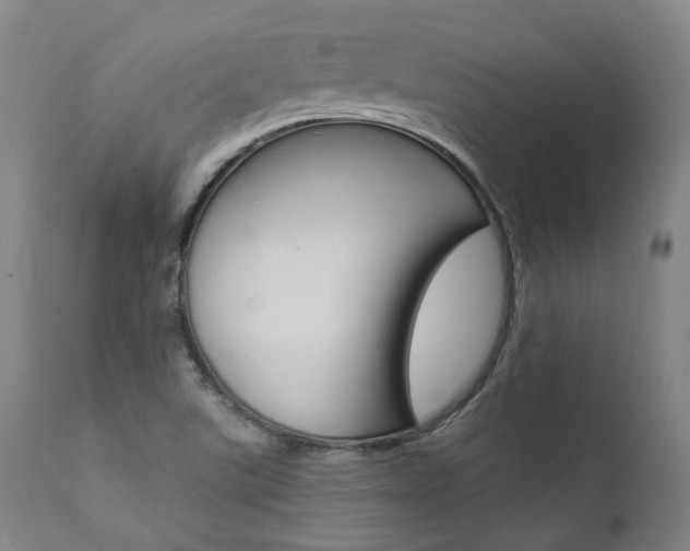 X0000111621507200907171051