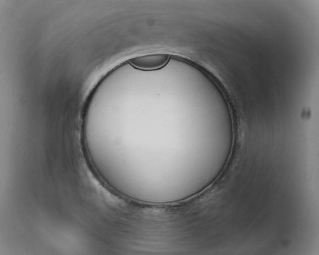 X0000111621508200907171051