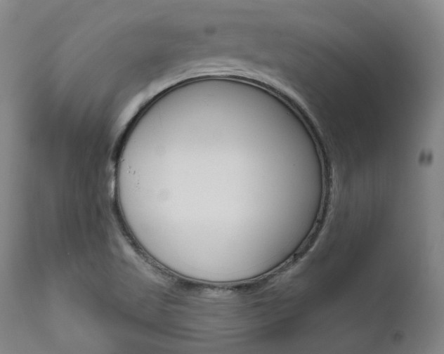 X0000111621509200907171051