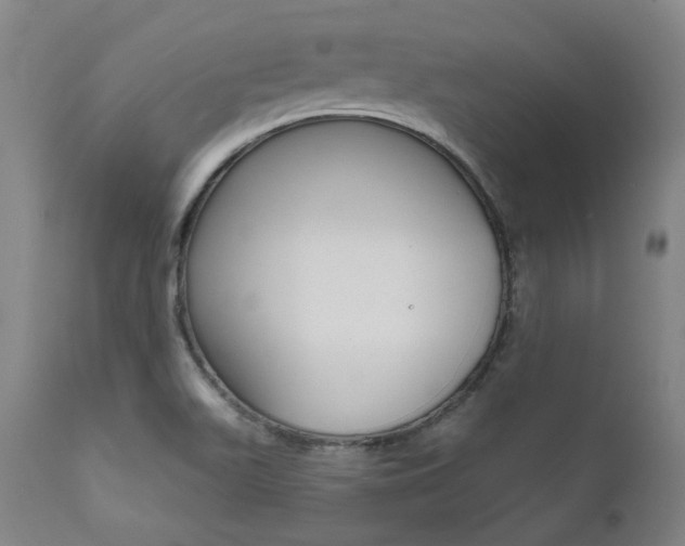 X0000111621511200907171051